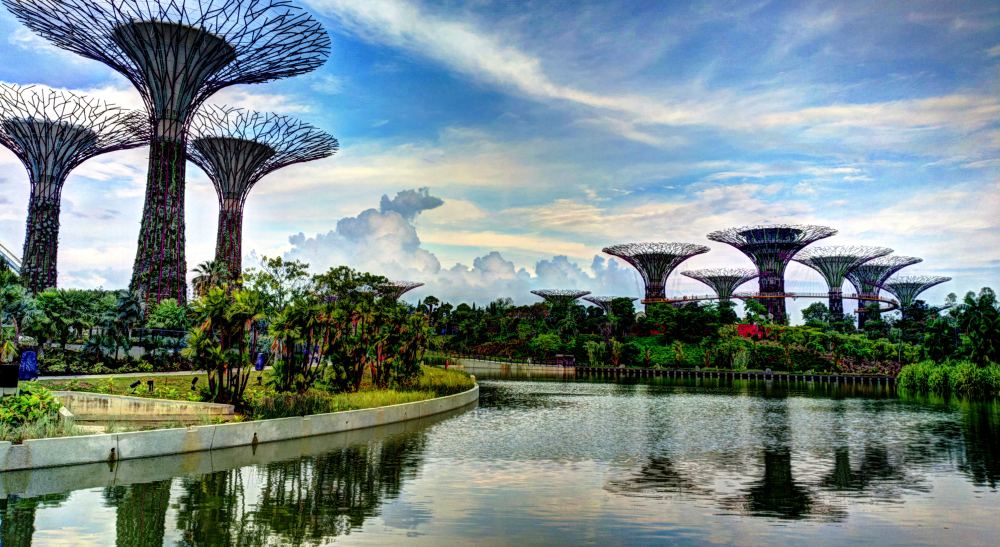 Gardens by the Bay: Supertree Grove, Cloud Forest, and What to See