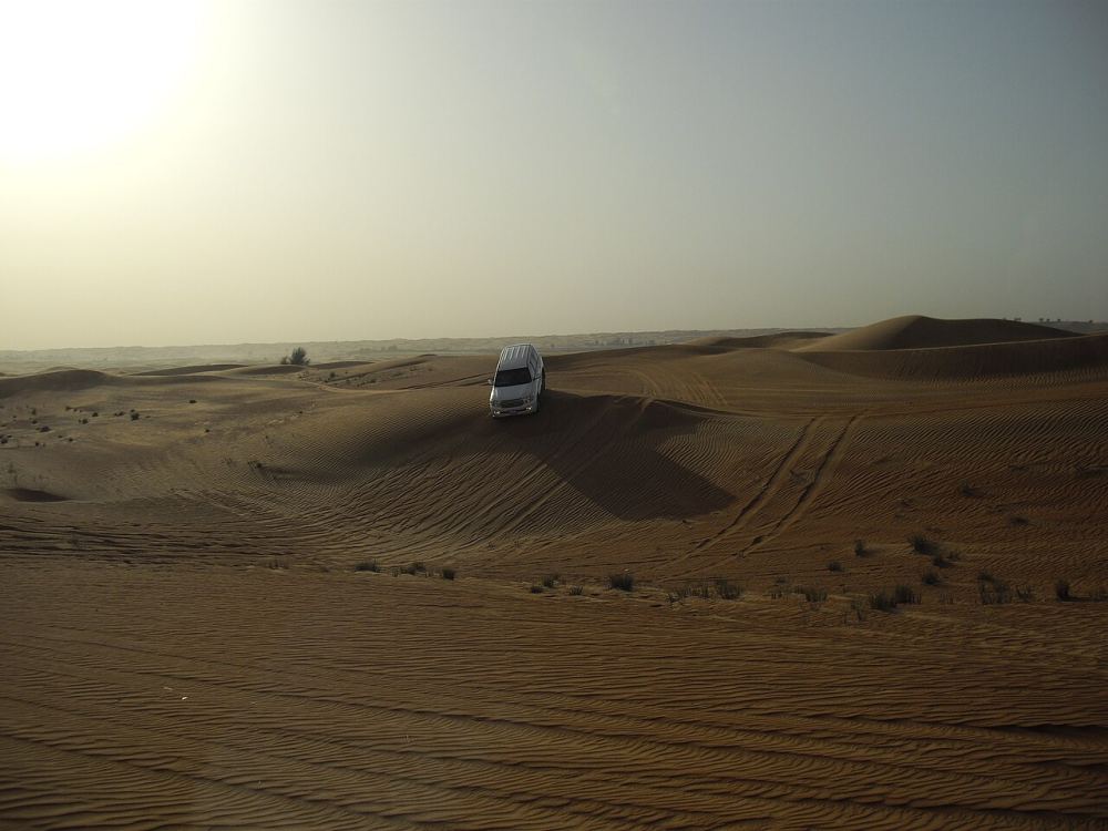 Desert Safari