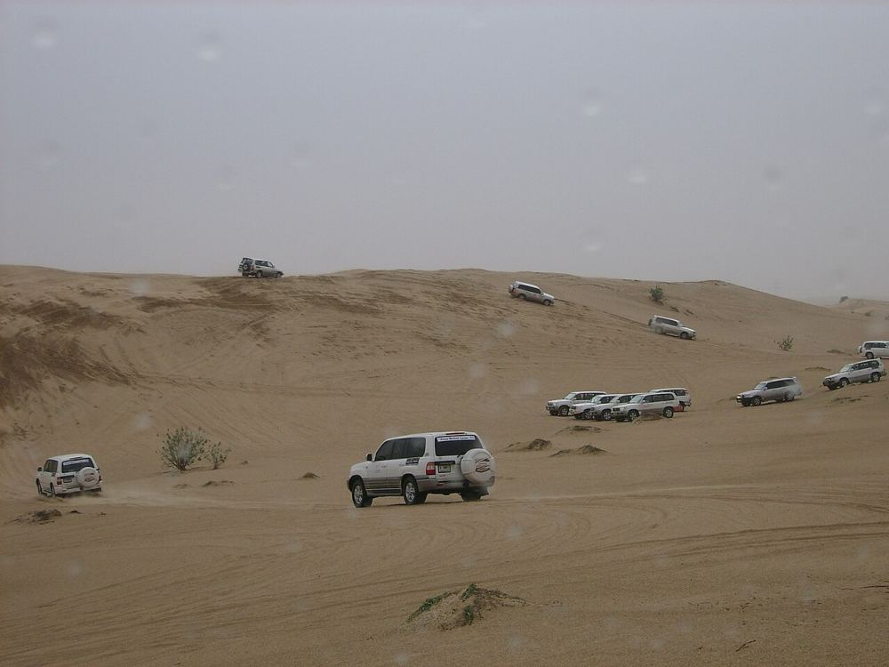 Desert Safari from Doha: What to Expect at the Inland Sea