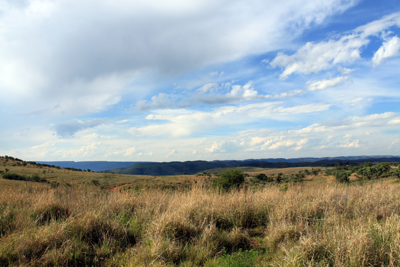 The Cradle of Humankind: Fossils, Caves, and How to Plan Your Visit