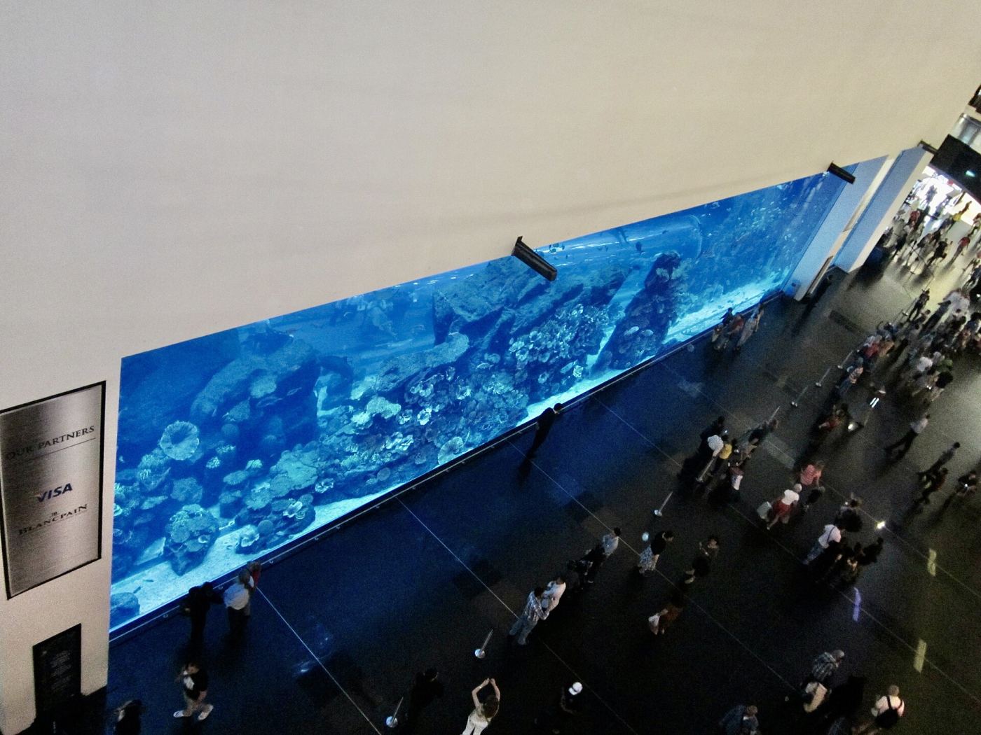 The Dubai Aquarium and underwater zoo tank at The Dubai Mall