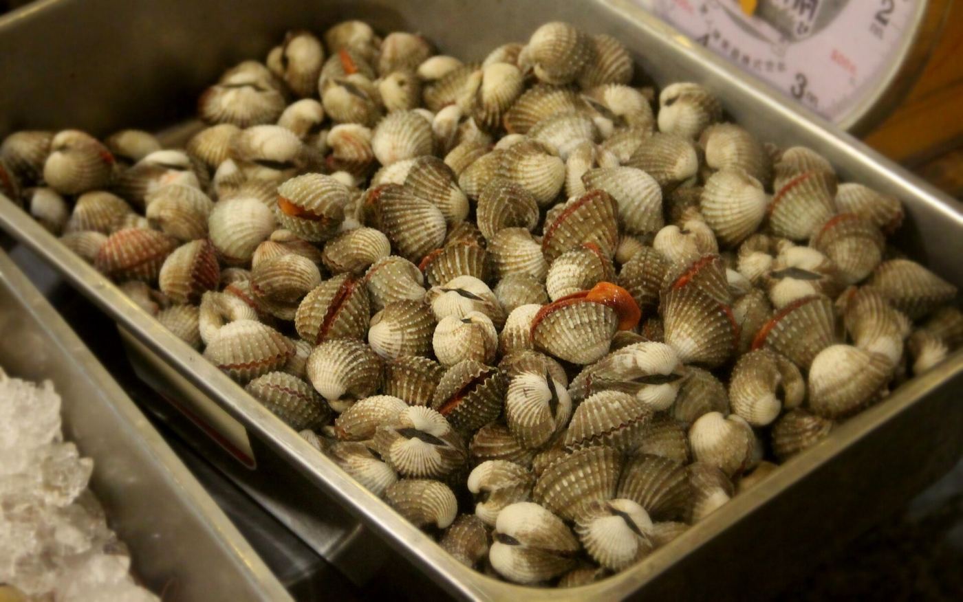 Fresh seafood on display at a Thai seafood restaurant