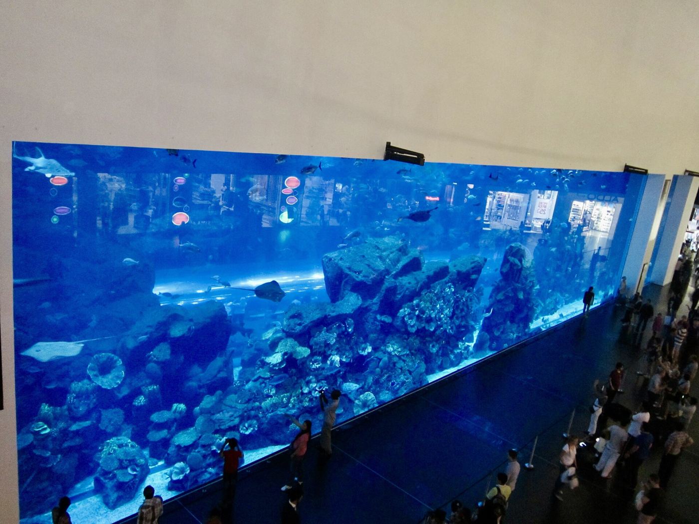 Massive aquarium tank with sharks and rays inside Dubai Mall
