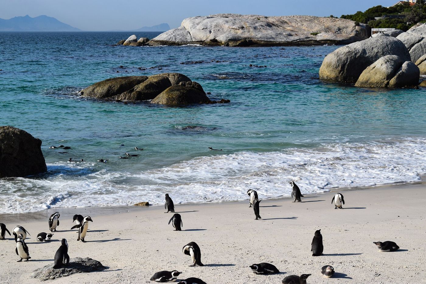 Cape Town's Best Ticketed Attractions: Which Ones Are Actually Worth It