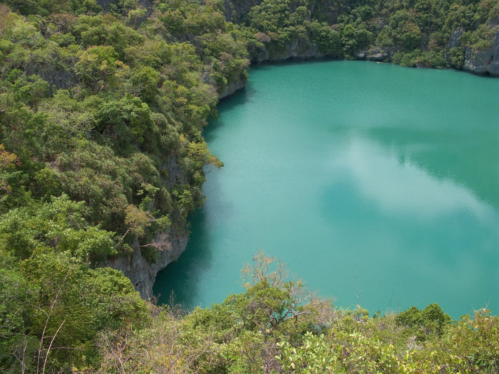 The turquoise Emerald Lake hidden lagoon inside Ang Thong Marine National Park, Thailand