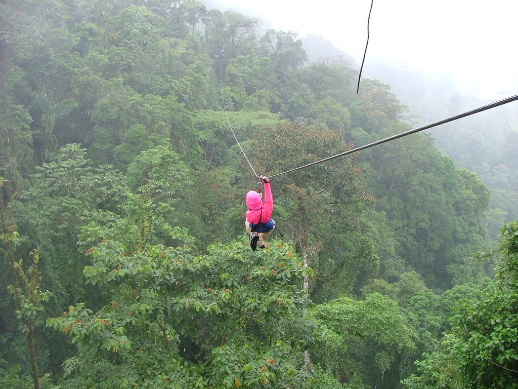 A zipliner soaring above a misty tropical rainforest canopy on a cable course