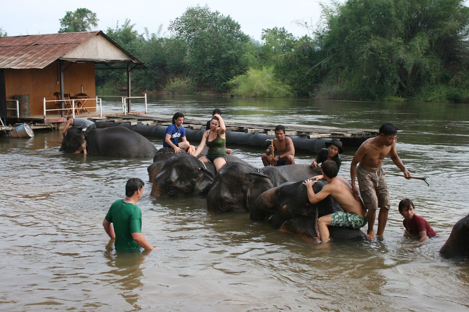 Visitors bathing elephants in a river at a hands-on elephant sanctuary in Thailand