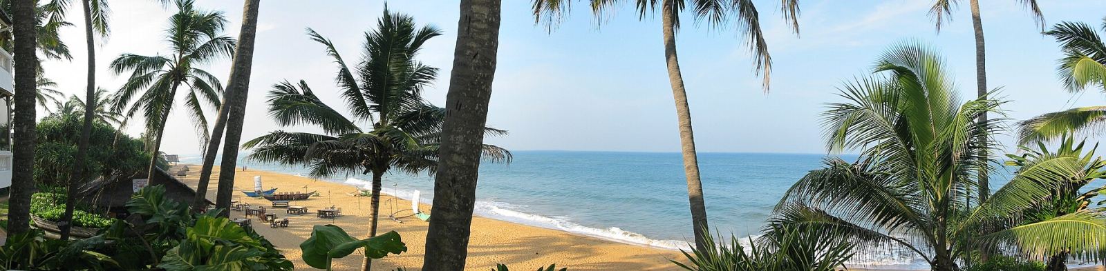 Beach view through palm trees at Mount Lavinia, Sri Lanka